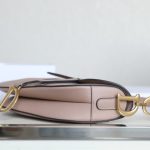 dior saddle bag nude 3