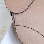 dior saddle bag nude 4