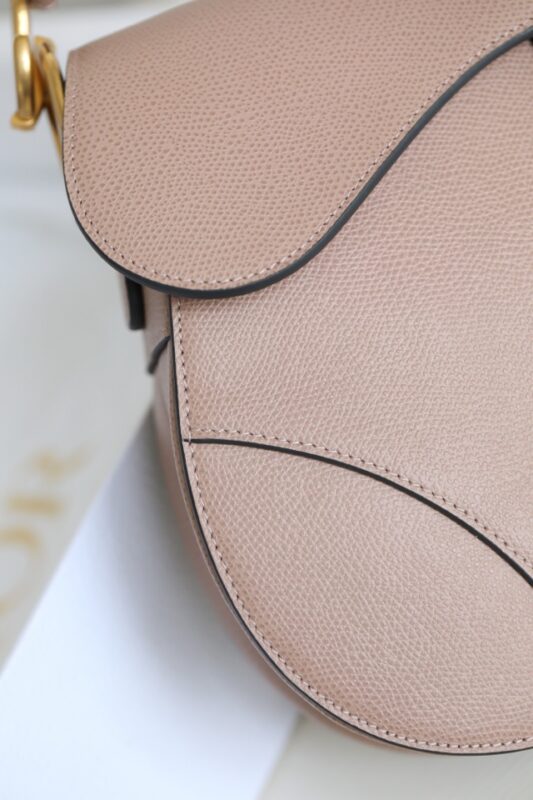 dior saddle bag nude 4