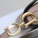 dior saddle bag nude 5