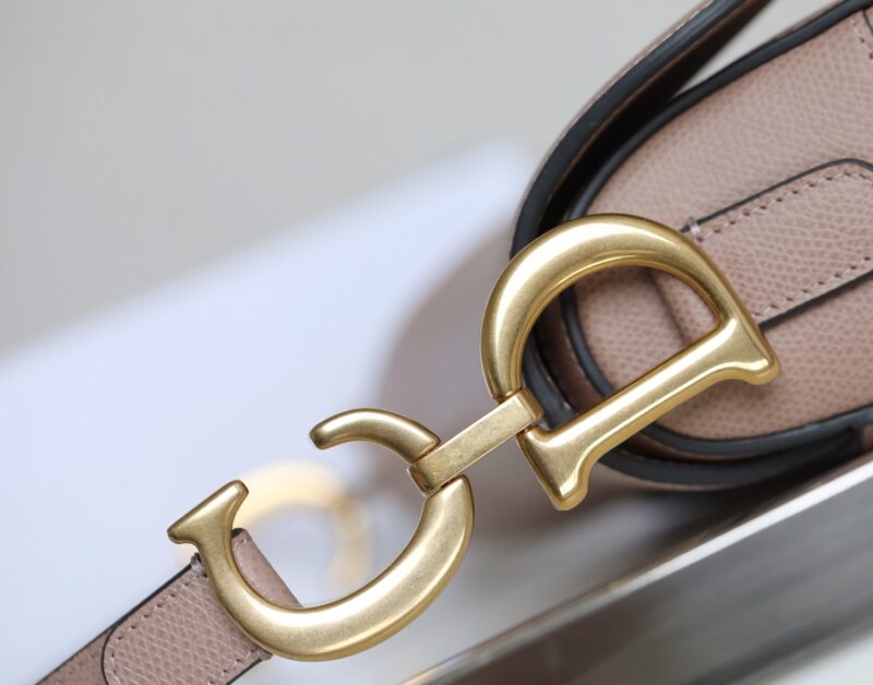 dior saddle bag nude 5