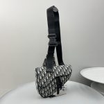 dior saddle bag oblique 2