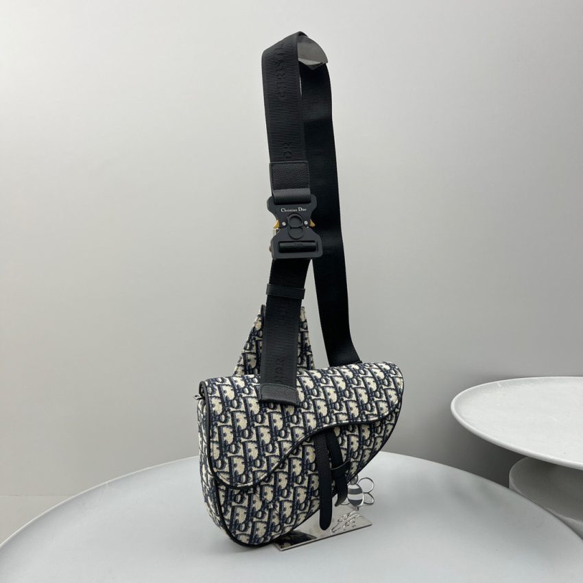dior saddle bag oblique 2