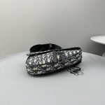 dior saddle bag oblique 6