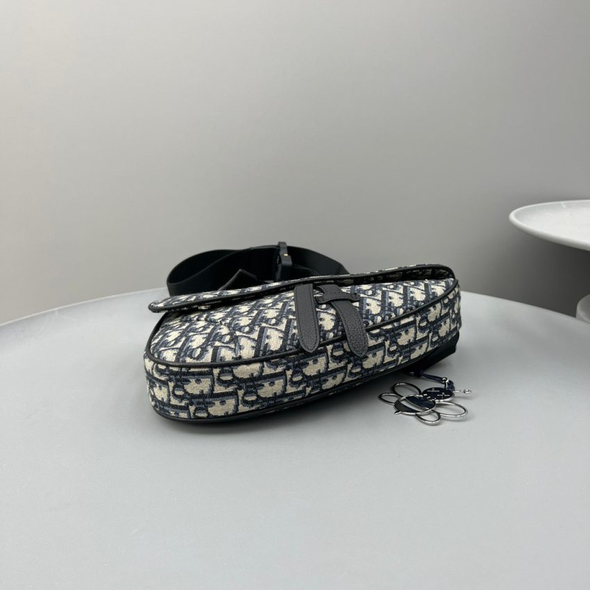 dior saddle bag oblique 6