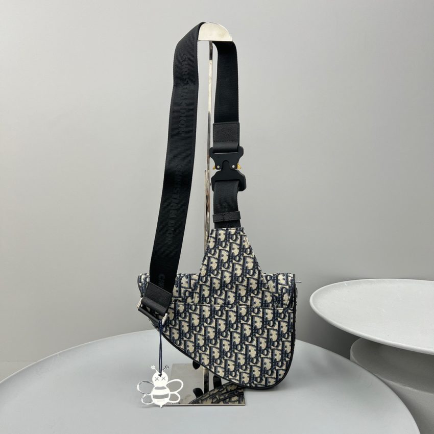 dior saddle bag oblique 9