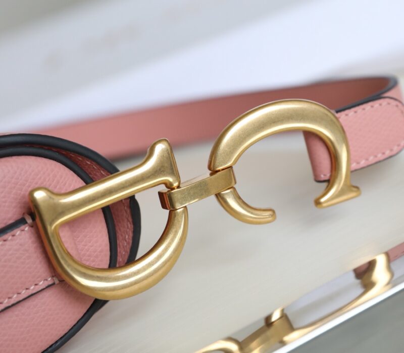 dior saddle bag pink 2