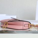 dior saddle bag pink 5