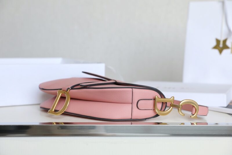 dior saddle bag pink 5