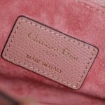 dior saddle bag pink 9