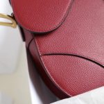 dior saddle bag red 2