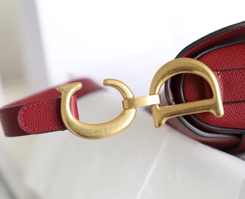 dior saddle bag red 4