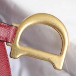 dior saddle bag red 5