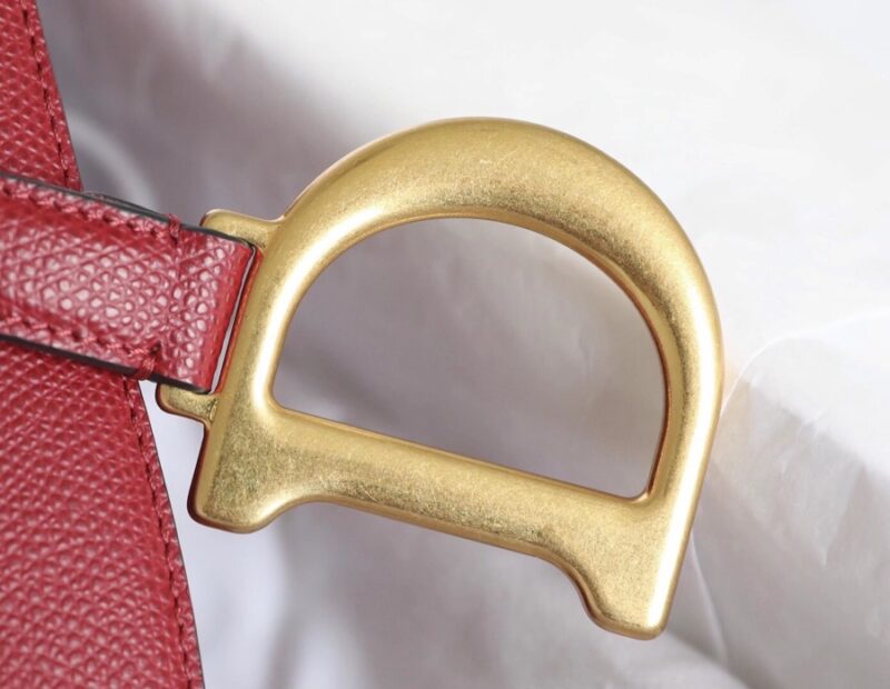 dior saddle bag red 5