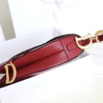 dior saddle bag red 6