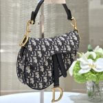 dior saddle bag small cd canvas 11