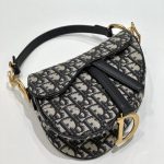 dior saddle bag small cd canvas 12