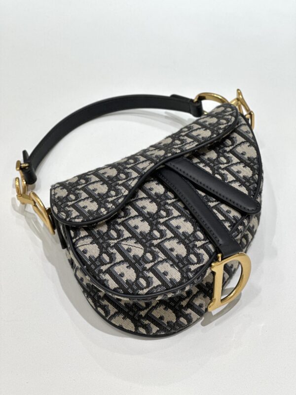 dior saddle bag small cd canvas 12