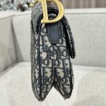 dior saddle bag small cd canvas 3