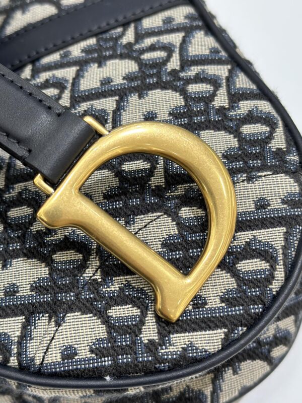 dior saddle bag small cd canvas 4