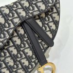 dior saddle bag small cd canvas 5