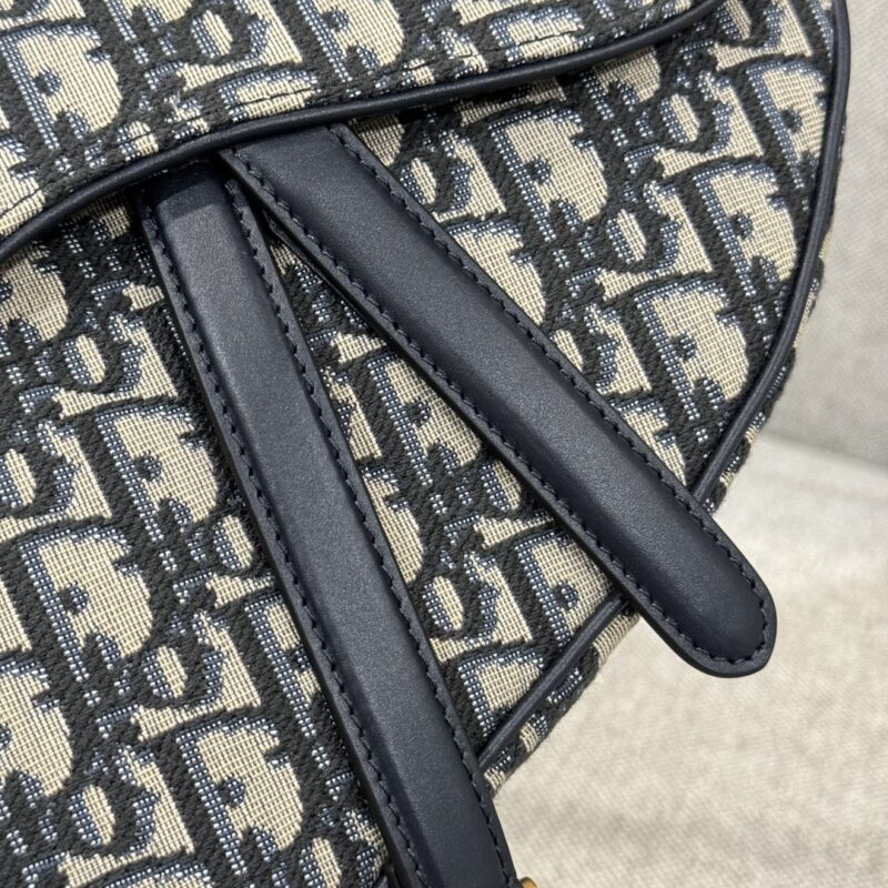 dior saddle bag small cd canvas 6