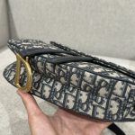 dior saddle bag small cd canvas 7