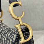 dior saddle bag small cd canvas 8