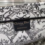 dior tote book blackwhite sun 3