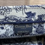 dior tote book blue tiger 4