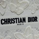 dior tote book butterfly 2
