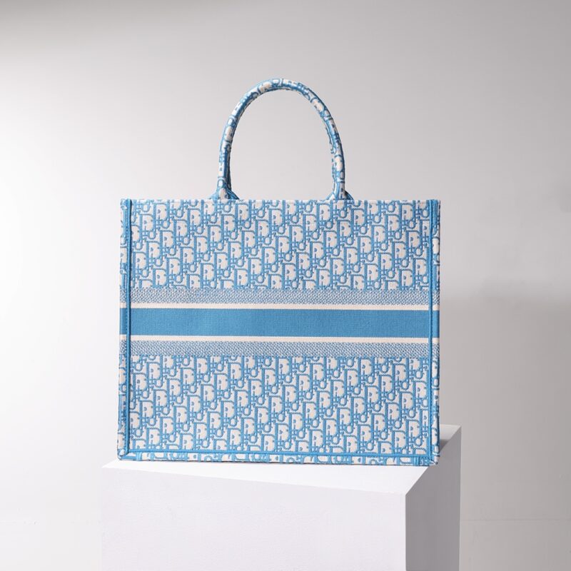 dior tote book cd light blue 4