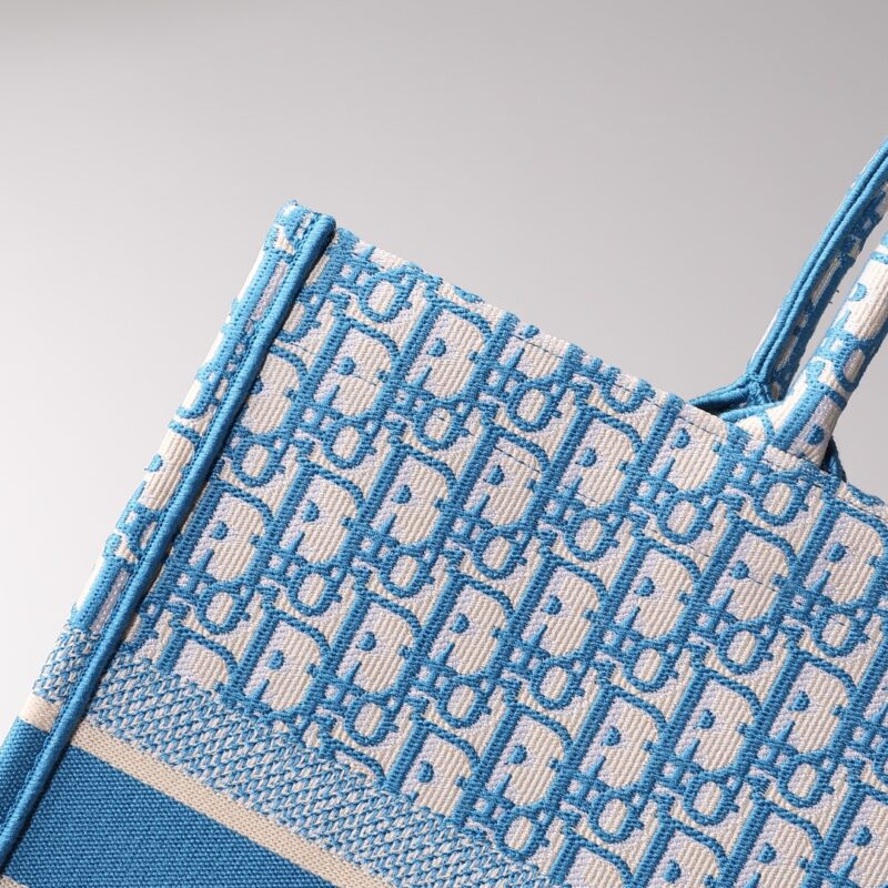dior tote book cd light blue 5