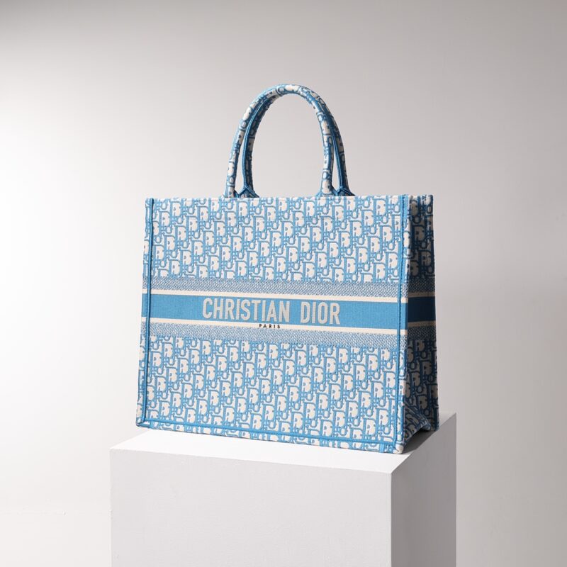 dior tote book cd light blue 6