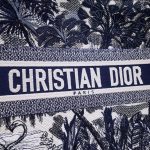 dior tote book coconut tree 3