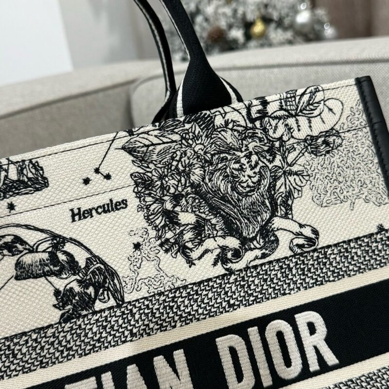 Dior tote book constilation 5