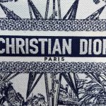 dior tote book infinite dream 3