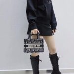 dior tote book mini cd black 2