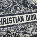 dior tote book mini tiger 8