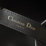 dior toujours black bag 6