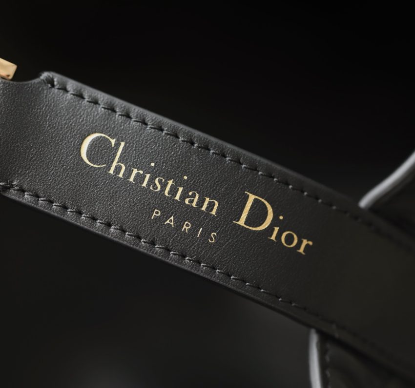 dior toujours black bag 6