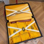 Goyard Bourget Replica Travel Suitcase Red 7 - Replica Goyard Bag