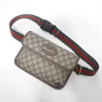 gucci neo vintage gg supreme belt bag 8