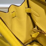 hermes birkin amber yellow 9