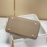 hermes birkin elephant gold 5