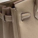 hermes birkin elephant gold 6
