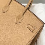 hermes birkin milk tea 5