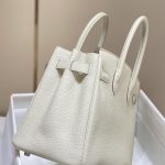 hermes birkin white 4