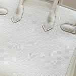 hermes birkin white 6