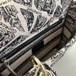 lady dior d lite beige paris 2